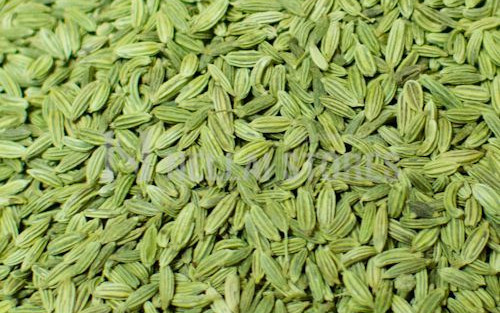 Fennel Seeds